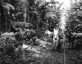 /album/fotogaleria/a014-1-jpg/