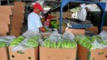 /album/fotogaleria/gobierno-jpg/